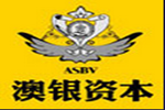 澳银资本（中国）控股有限公司