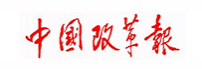 中国改革报