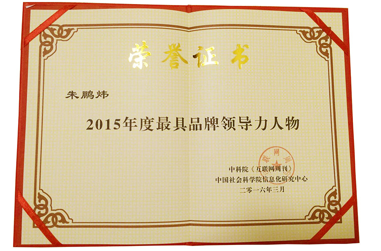朱鹏炜-2015年度最具品牌领导力人物